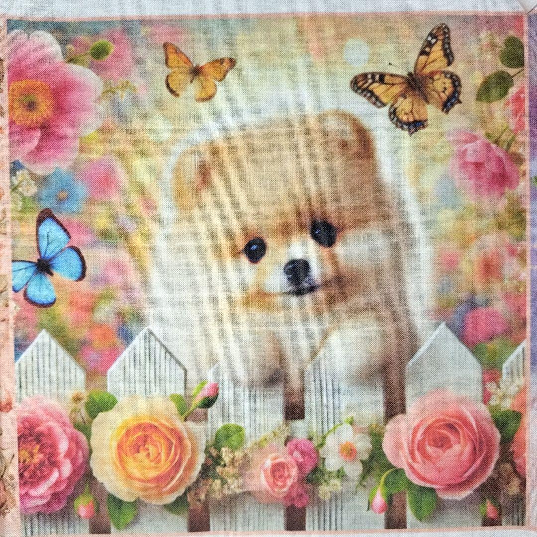 ♡ポメちゃんと可愛いワンコ達のオーダーページです✨