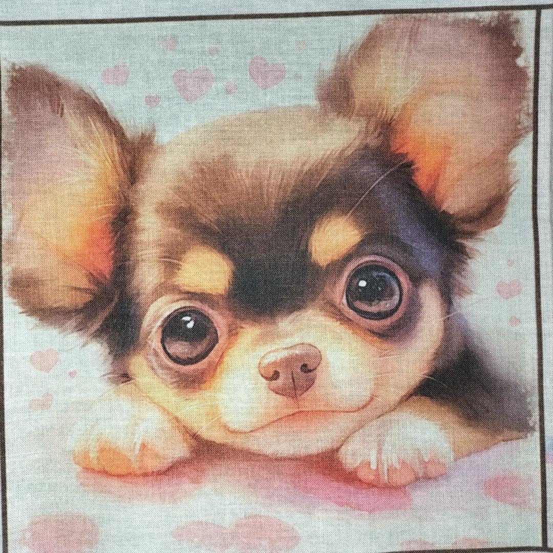 ♡ポメちゃんと可愛いワンコ達のオーダーページです✨