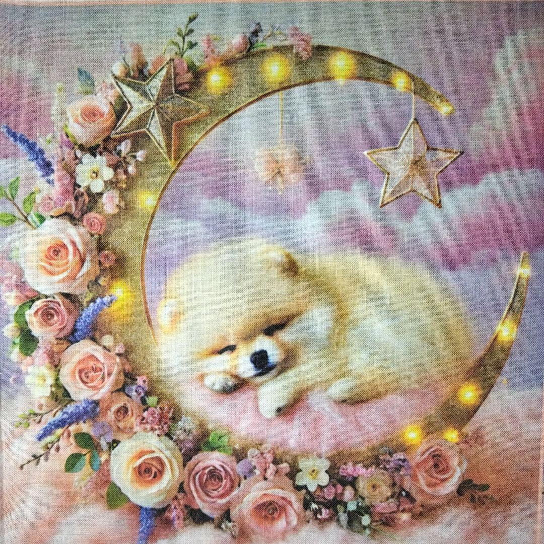 ♡ポメちゃんと可愛いワンコ達のオーダーページです✨