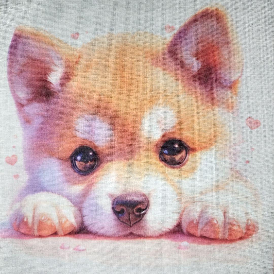 ♡ポメちゃんと可愛いワンコ達のオーダーページです✨