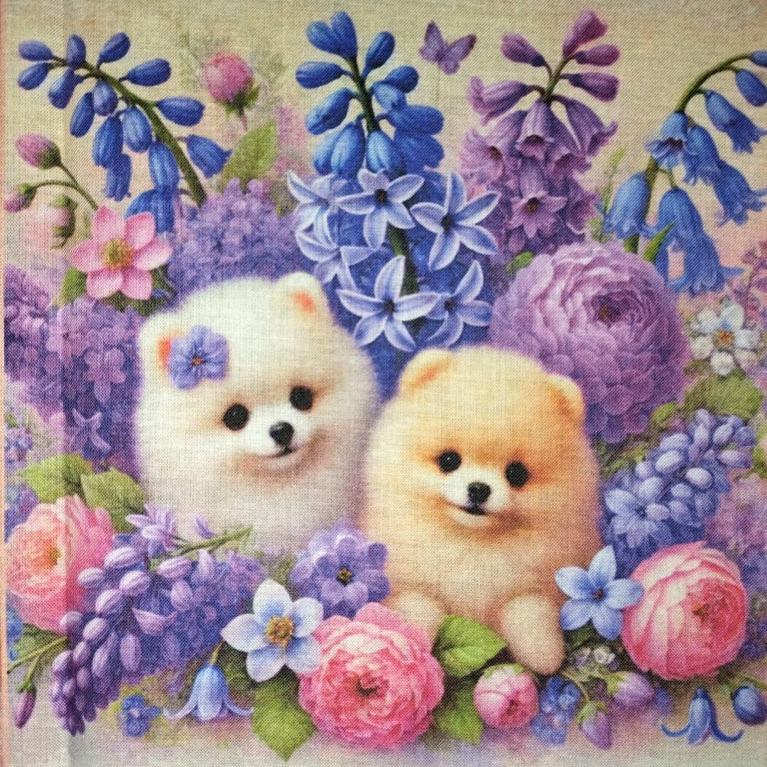 ♡ポメちゃんと可愛いワンコ達のオーダーページです✨