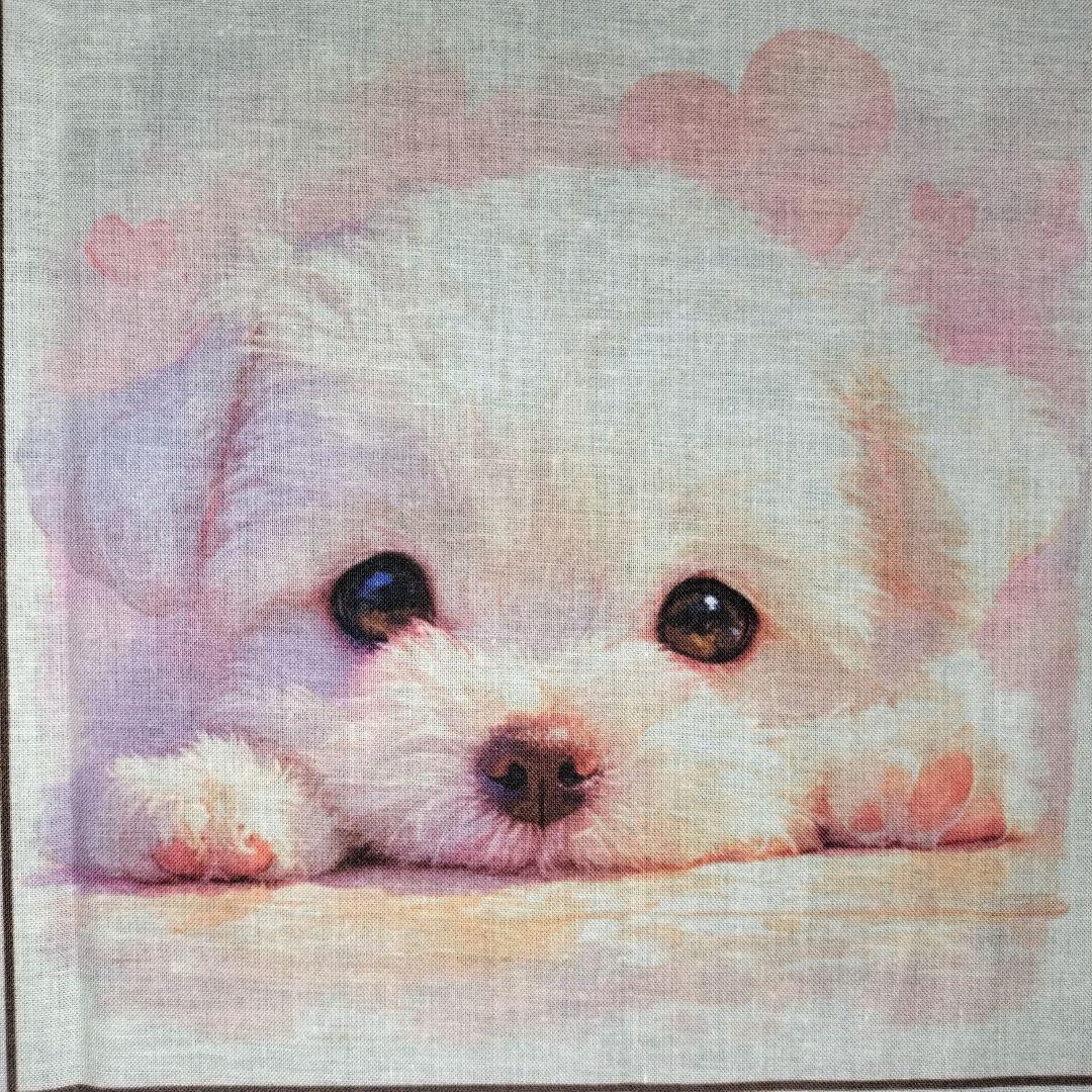 ♡ポメちゃんと可愛いワンコ達のオーダーページです✨