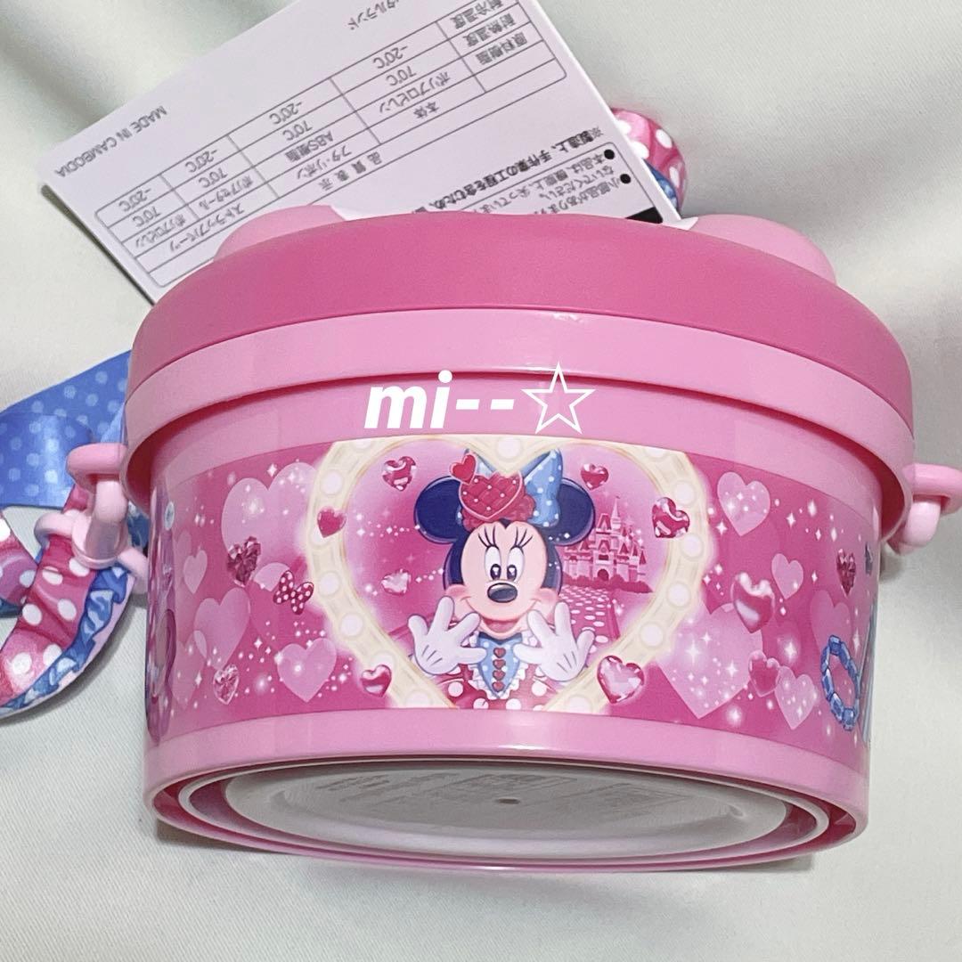 ディズニー パルパルーザ ミニー ファンダーランドポップコーンバケットスーベニア
