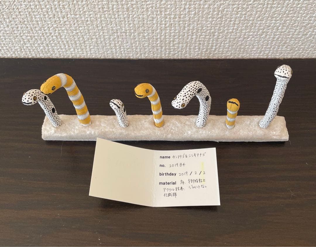 梅津恭子　チンアナゴ＆ニシキアナゴ