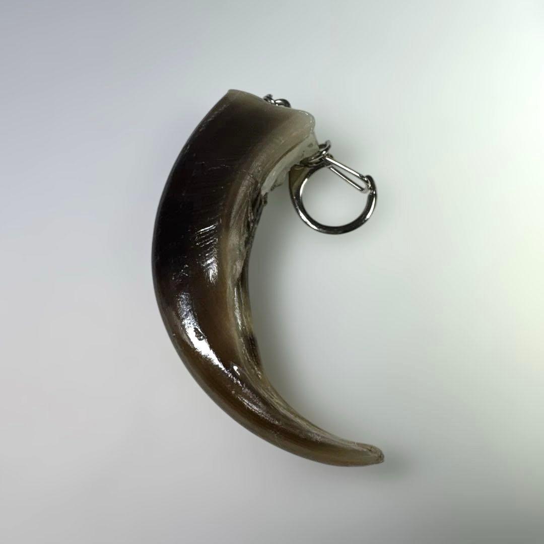 羆 熊の爪 超BIG 8cm②