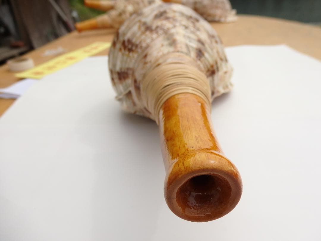 kei428さま専用 法螺貝 約37㎝ 木製歌口,新品 MH-455 赤紐付き