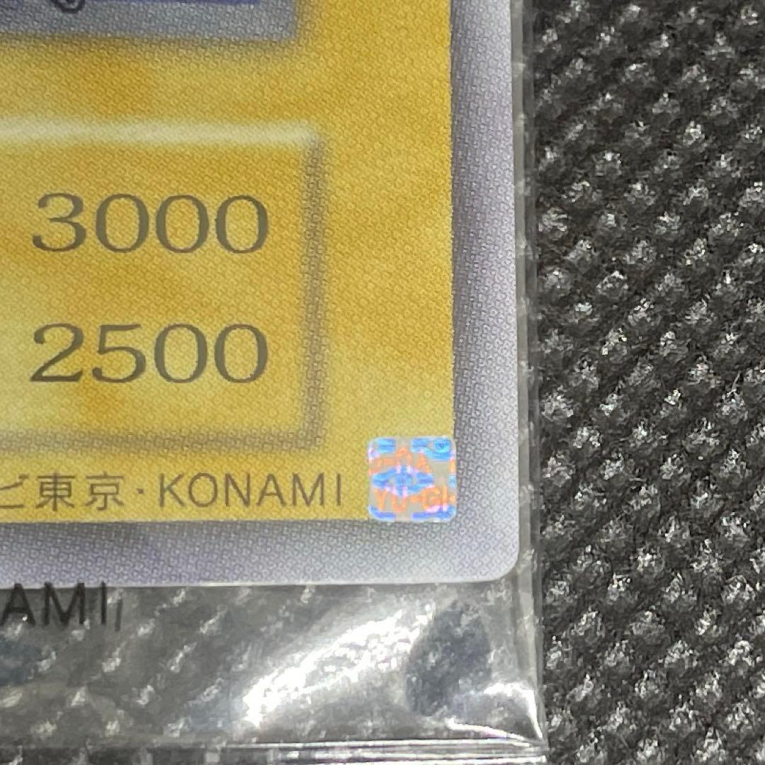 プリズマブルー様専用 カオスソルジャー カオス・ソルジャー ウルトラ