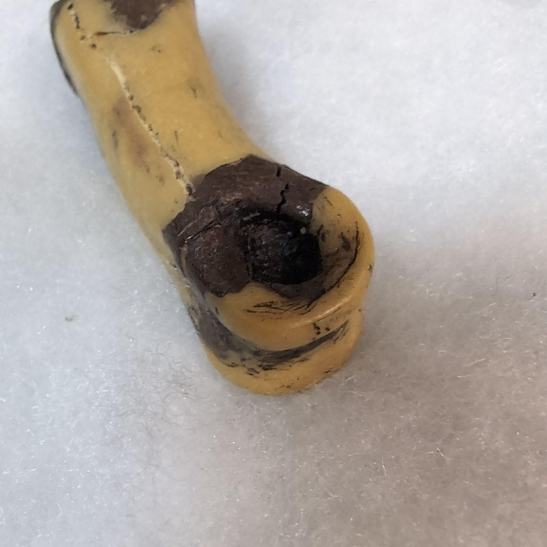 本物 恐竜 T-REX ティラノサウルスの指骨 化石 補修あり モンタナ