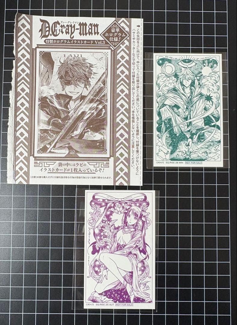 ジャンプSQ.RISE アニメイト特典 付録 アレン 神田 リナリー ラビ