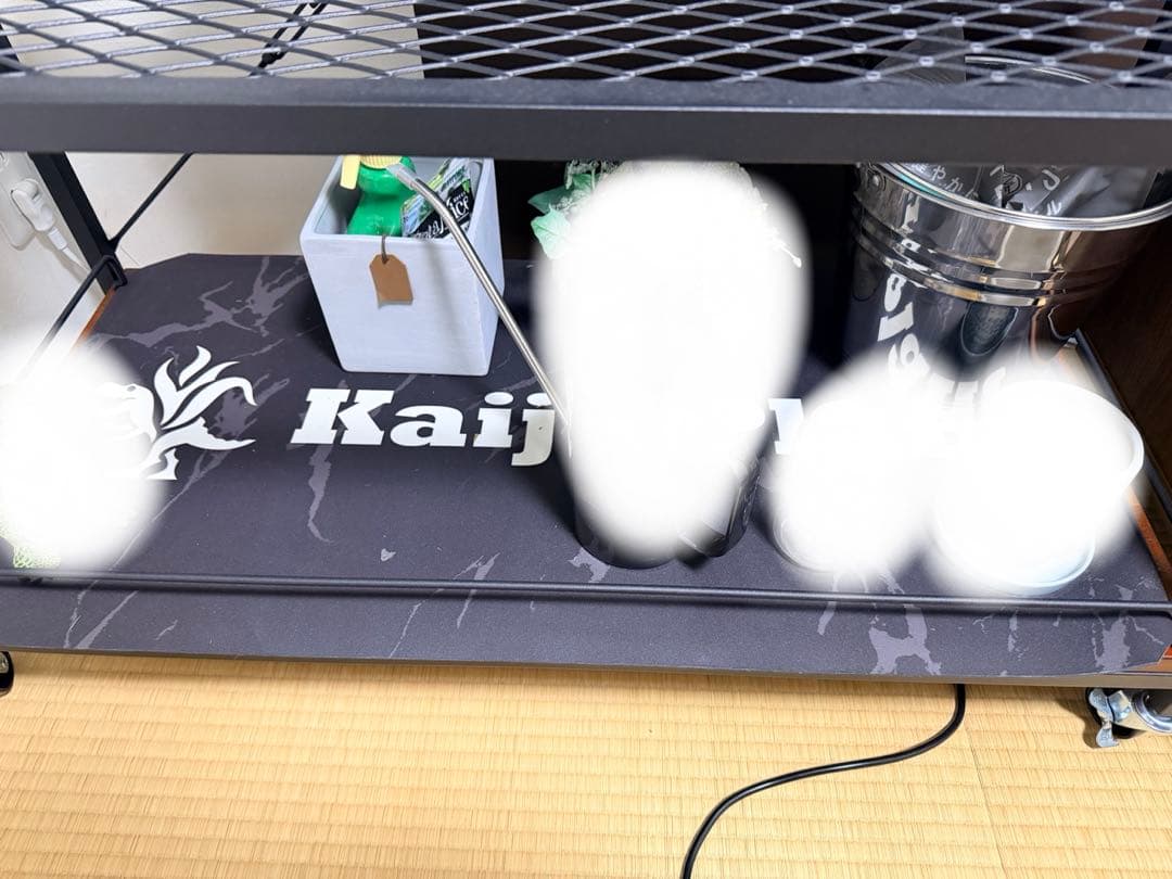 怪獣プランツ　怪獣プラント　アガベ 植物　棚　ラック