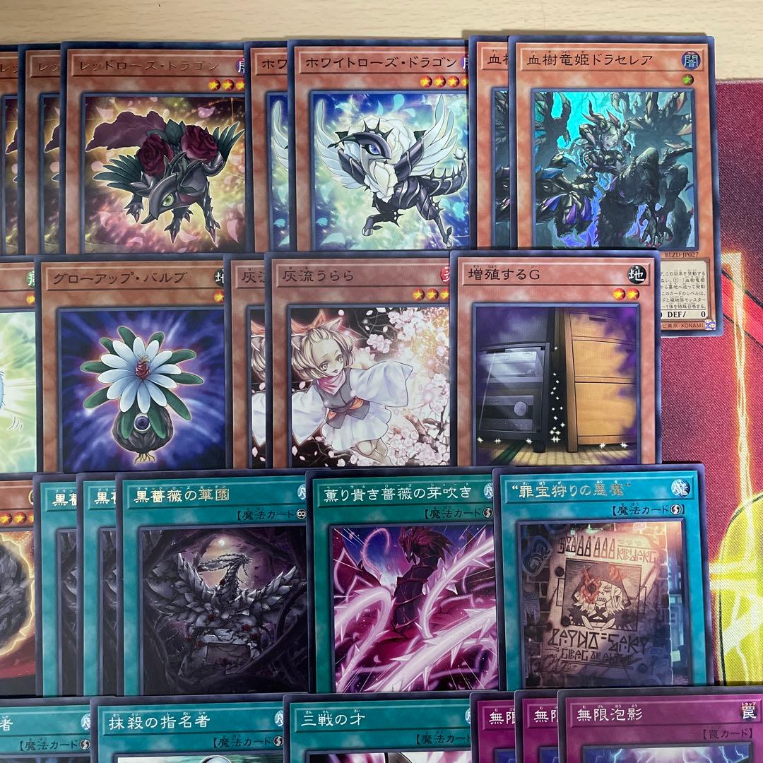 大会優勝構築 アザミナローズドラゴンデッキ レッドローズドラゴン 黒