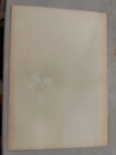 Savignac/サヴィニャック LA FETES 1976年 リトポスター - メルカリ