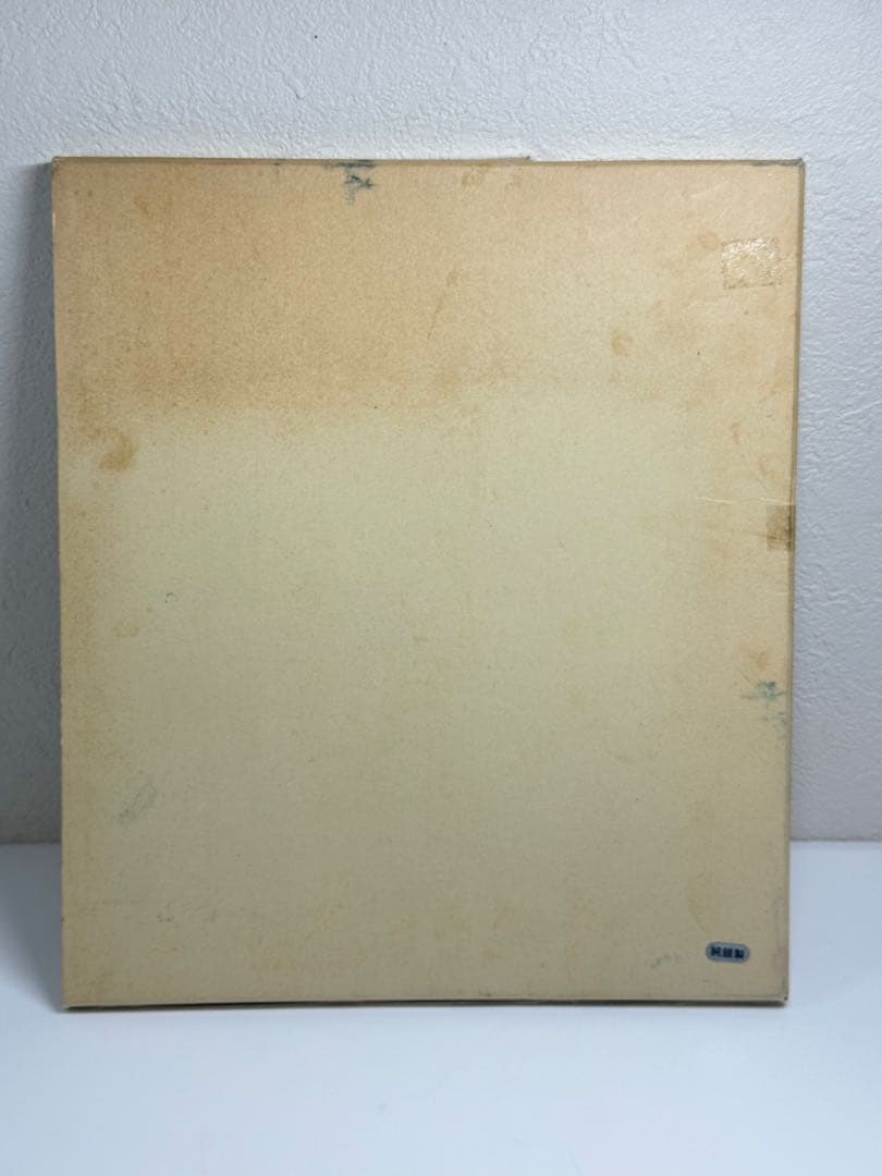 純銀製 記念メダル & 記念カバー 特別セット 全国限定 製造番号0119番