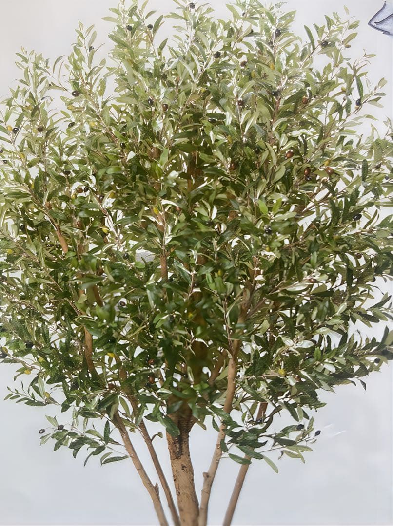 光触媒　人工観葉植物　ウォールグリーン　フェイクグリーン　オリーブ240