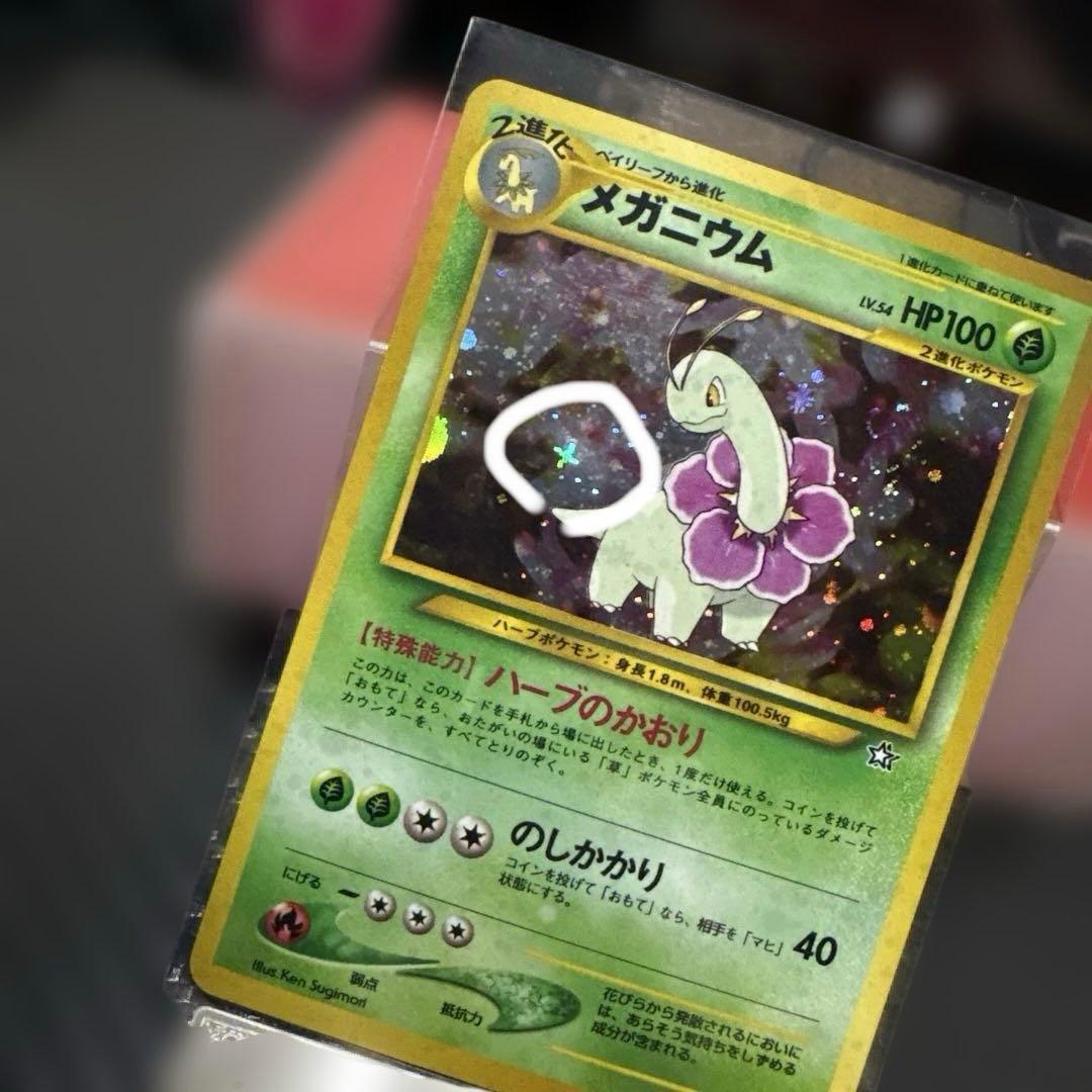 メガニウム プレミアムファイル PROMO 第1世代 旧裏 渦巻、十字ホロ