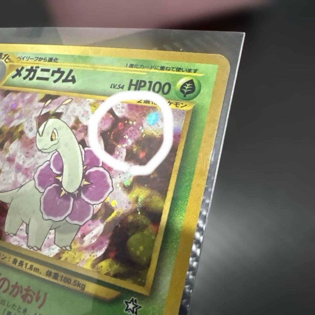 メガニウム プレミアムファイル PROMO 第1世代 旧裏 渦巻、十字ホロ