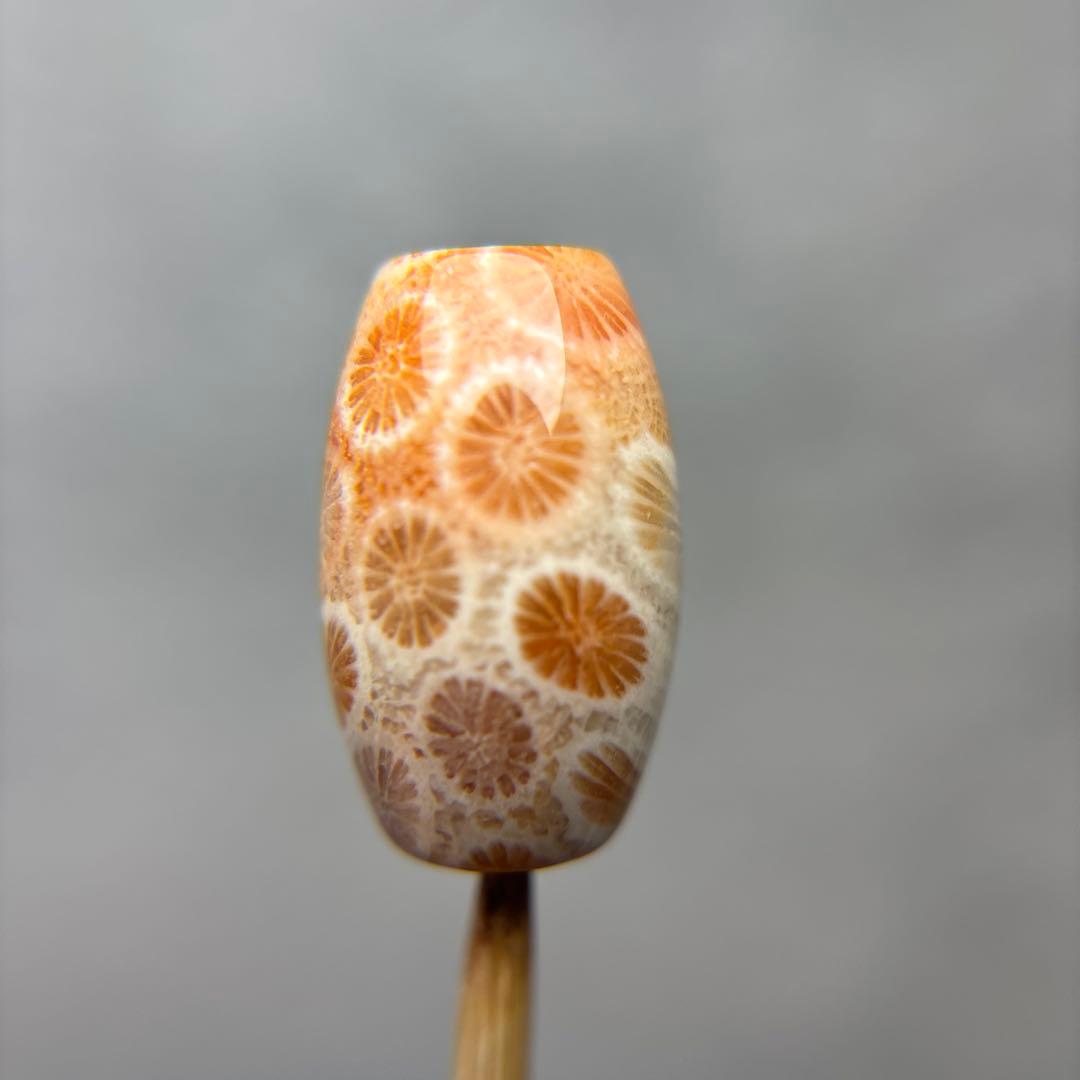 イカ人参フォッシルコーラル　天珠　1-312