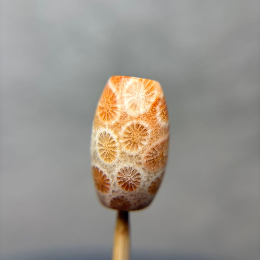 イカ人参フォッシルコーラル　天珠　1-312