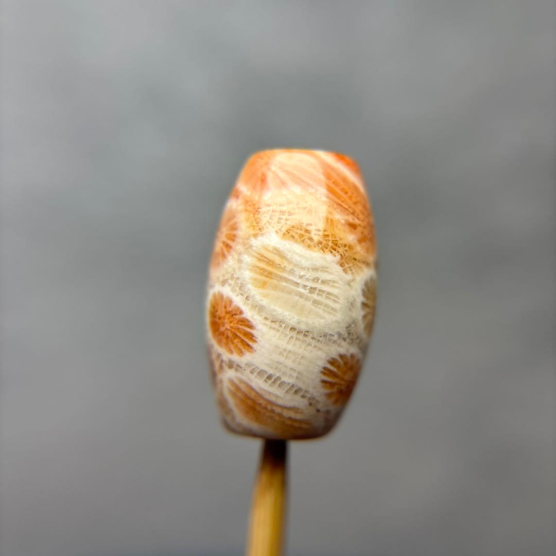 イカ人参フォッシルコーラル　天珠　1-312