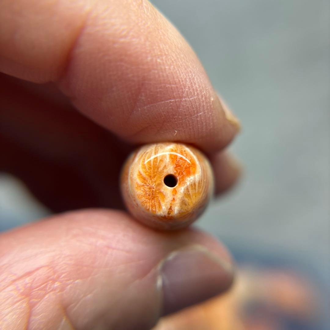 イカ人参フォッシルコーラル　天珠　1-312