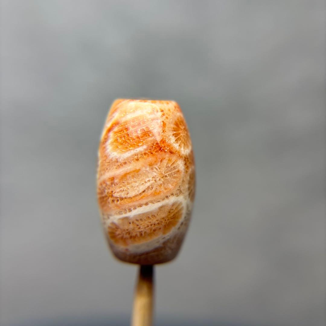 イカ人参フォッシルコーラル　天珠　1-312