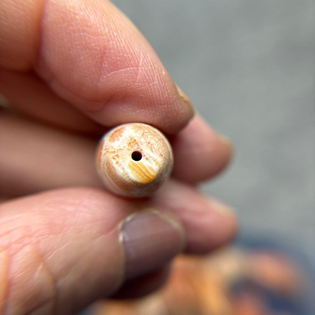 イカ人参フォッシルコーラル　天珠　1-312