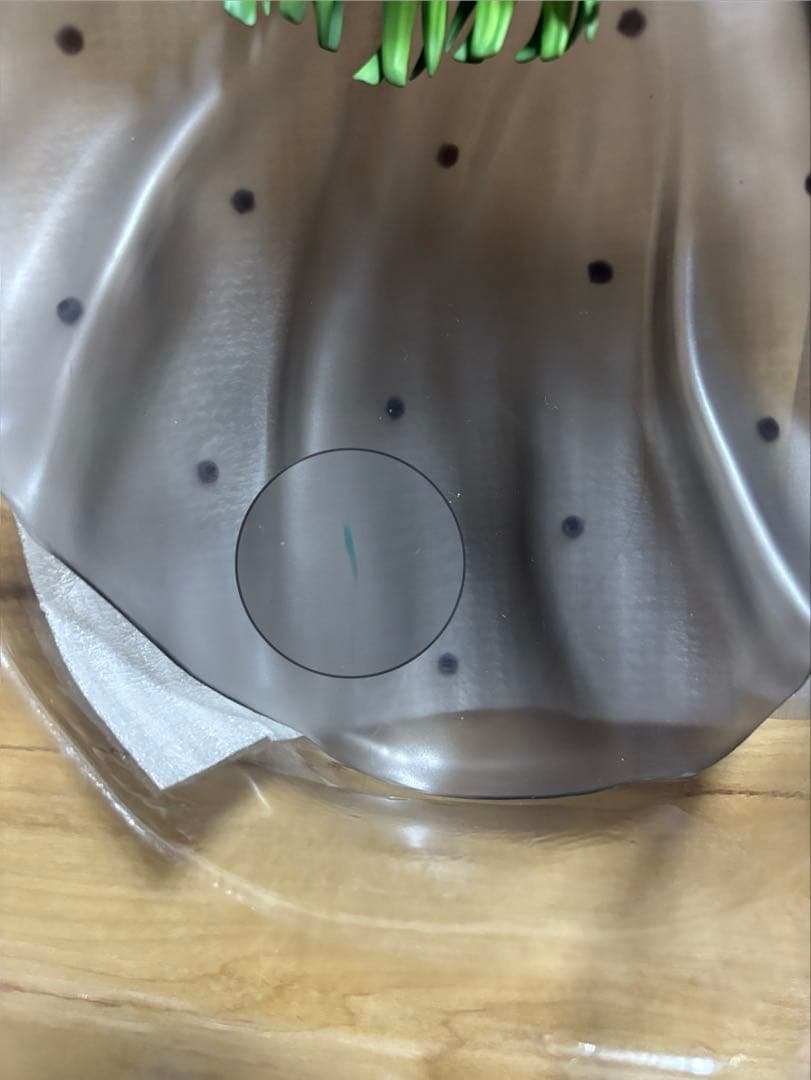 コードギアス 復活のルルーシュ L.L.&C.C.セット