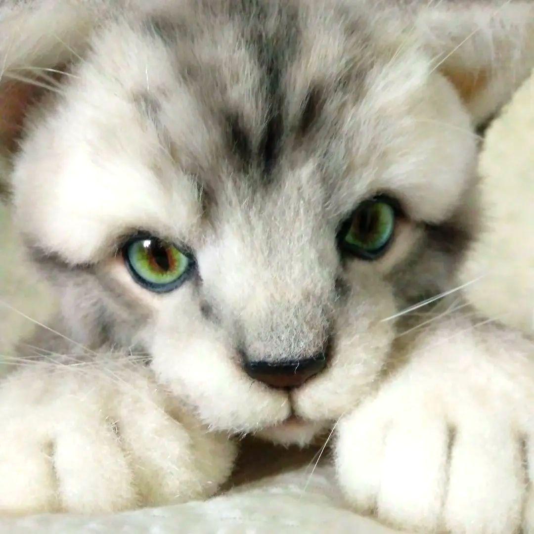 最終価格‼️海外作家様❤ぬいぐるみ　アートドール　テディベア　ネコ　ハンドメイド