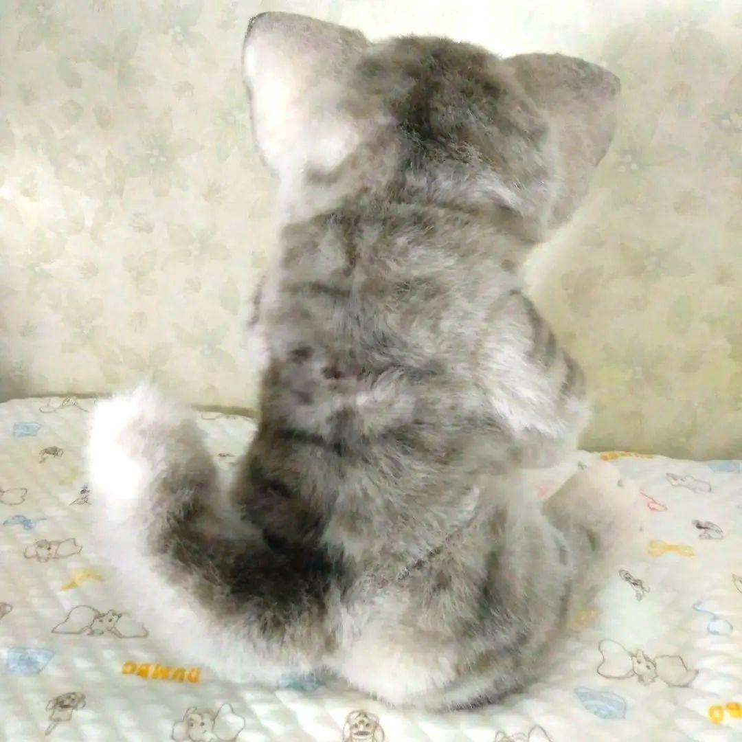 最終価格‼️海外作家様❤ぬいぐるみ　アートドール　テディベア　ネコ　ハンドメイド