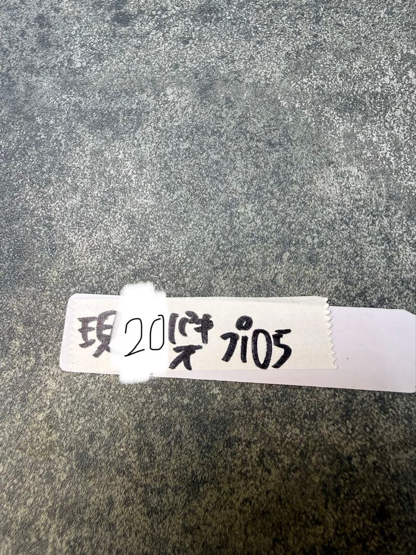 ユーフォルビア　パキポディオイデス　現地球　発根済み　多頭　二頭　現20