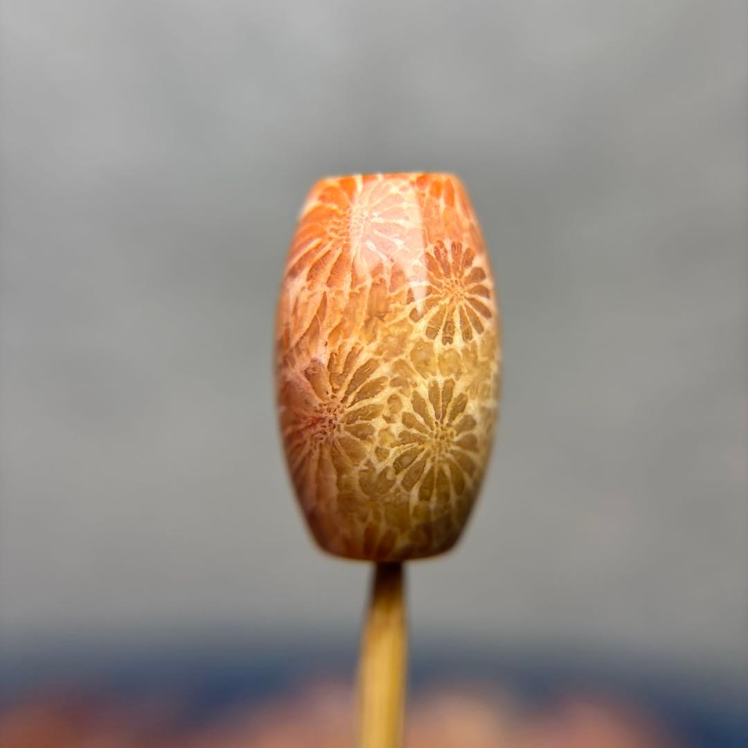 もんちゃん様専用フォッシルコーラル 天珠 1-278 ❤️ 45g 綺麗 ゴビ