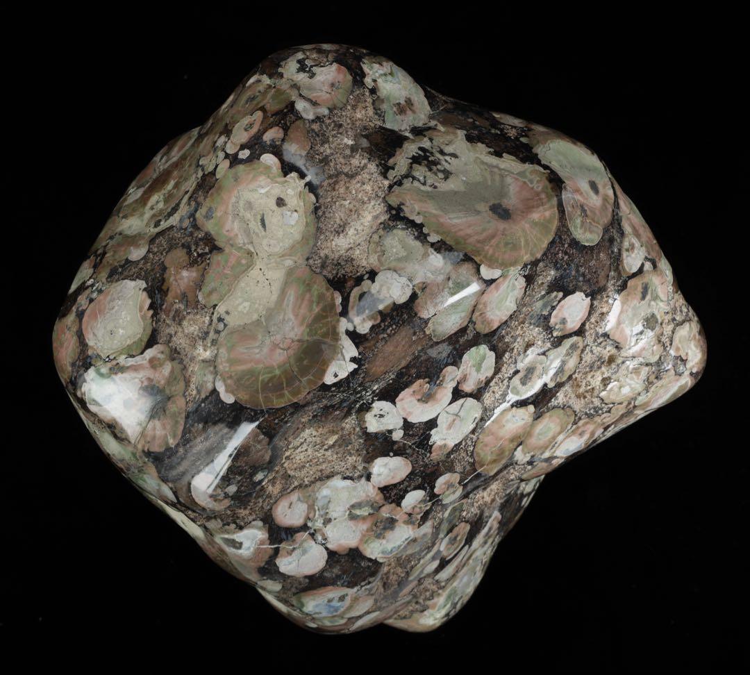 紅梅 梅花石 台付 12.1kg 鑑賞石 自然石 水石 原石 天然石 盆石 飾石