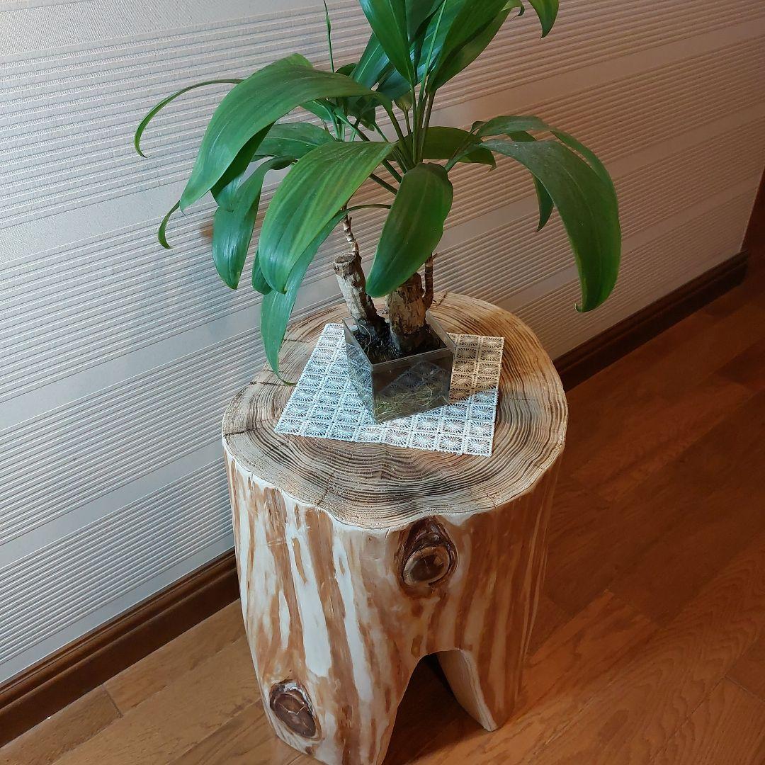 ★森の中で出会いそうな大きい丸太椅子