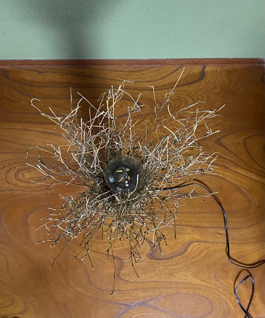 照明：麻筒と笹