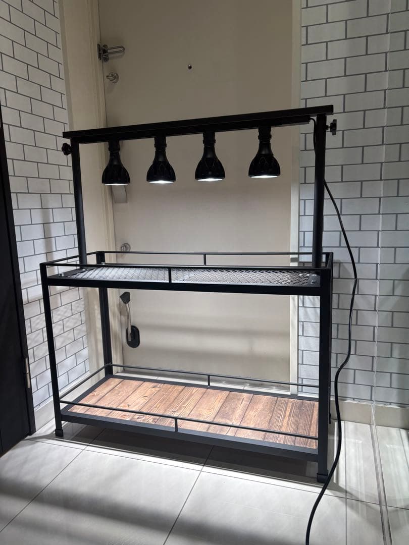 植物棚　アイアン棚　伸縮ライトレール　パキプス　アイアンシェルフ　アガベ