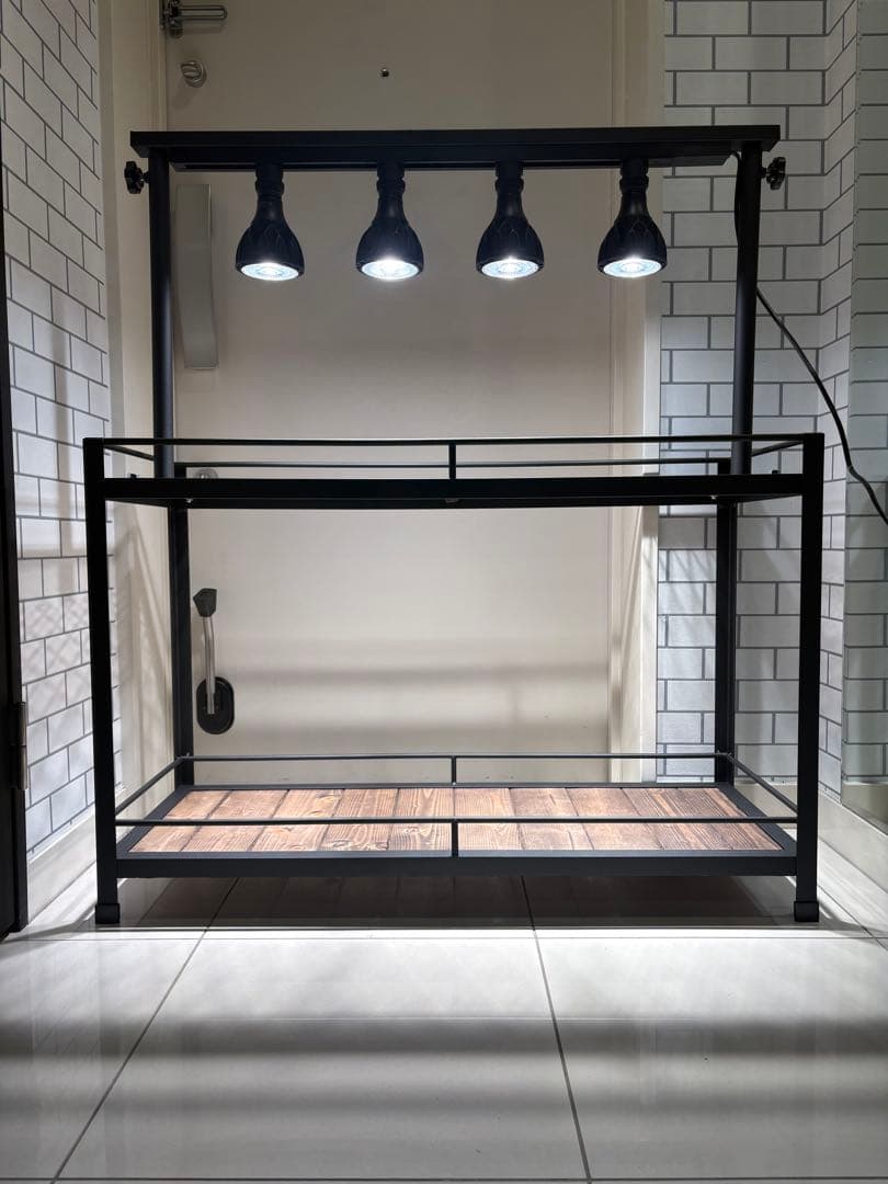 植物棚　アイアン棚　伸縮ライトレール　パキプス　アイアンシェルフ　アガベ