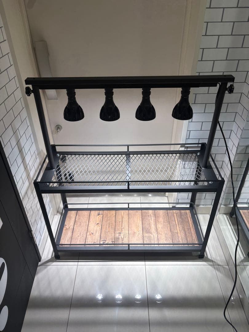 植物棚　アイアン棚　伸縮ライトレール　パキプス　アイアンシェルフ　アガベ