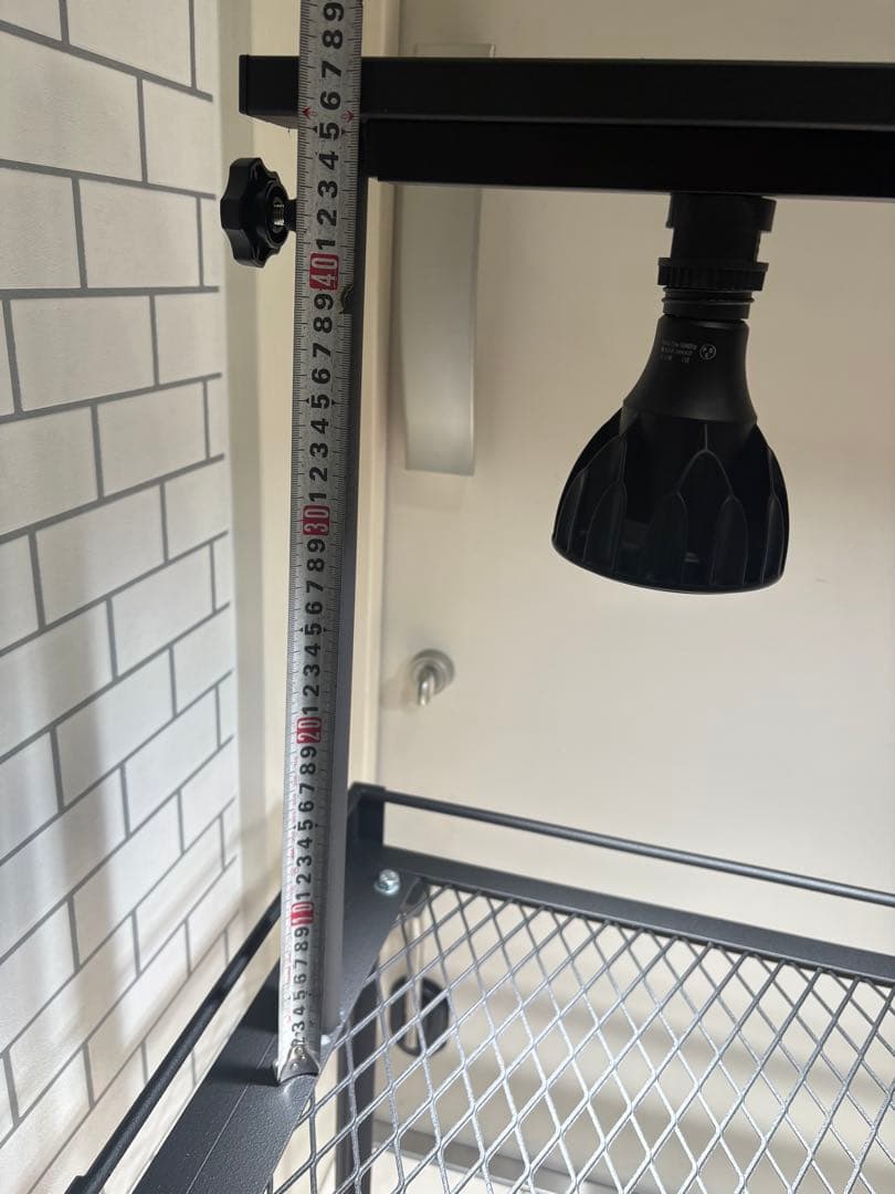 植物棚　アイアン棚　伸縮ライトレール　パキプス　アイアンシェルフ　アガベ