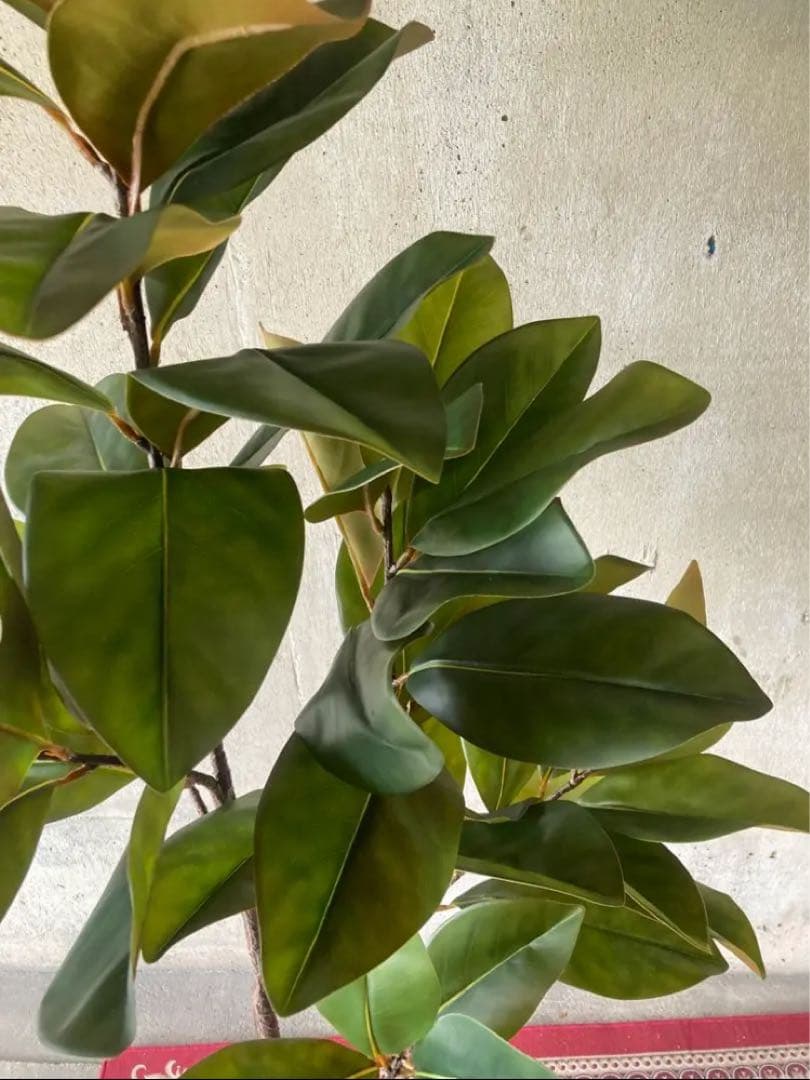 光触媒 人工観葉植物 ウォールグリーン フェイクグリーン マグノリア