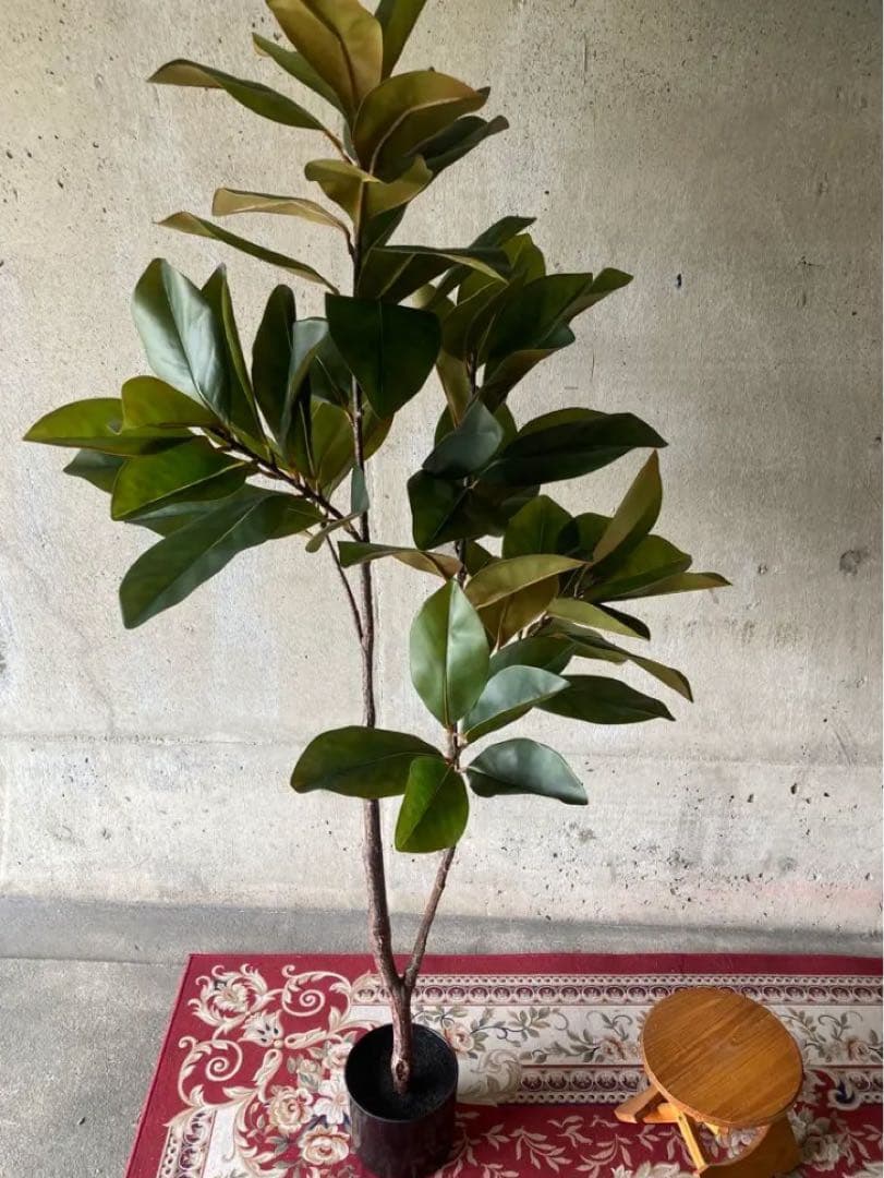 光触媒 人工観葉植物 ウォールグリーン フェイクグリーン マグノリア