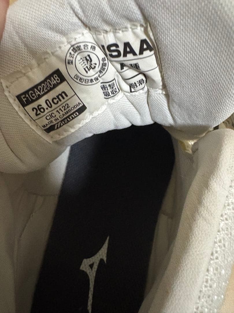 ミズノ26センチ安全靴