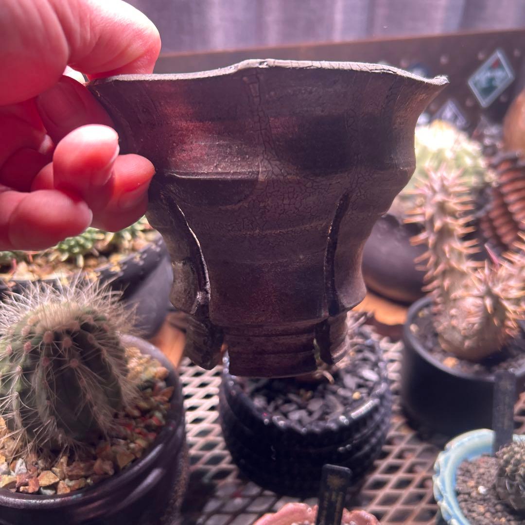 陶器鉢　5個セット