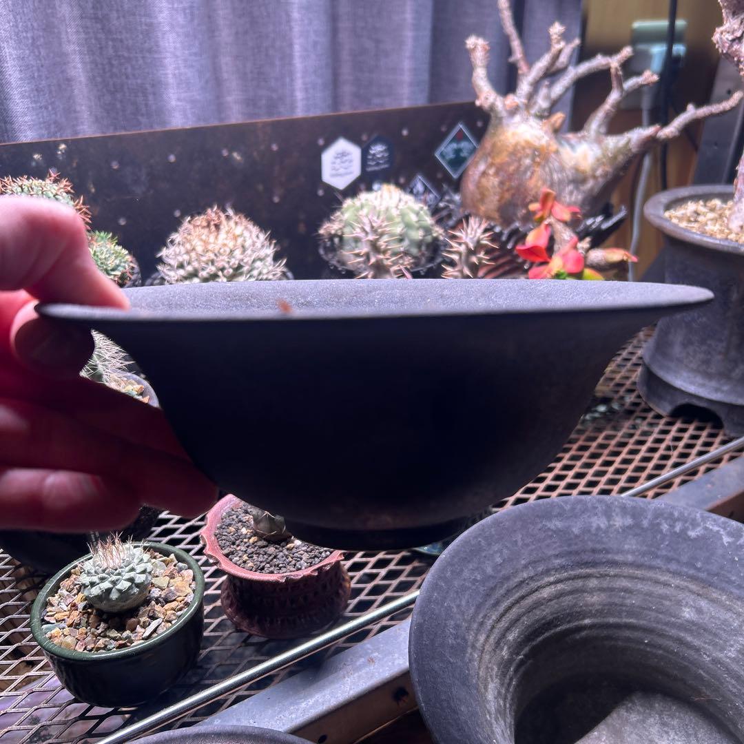 陶器鉢　5個セット