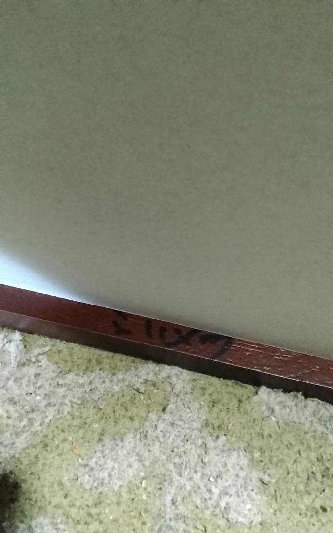 模写　作者不明　速水御舟　金魚　日本画巨匠最終値下げ