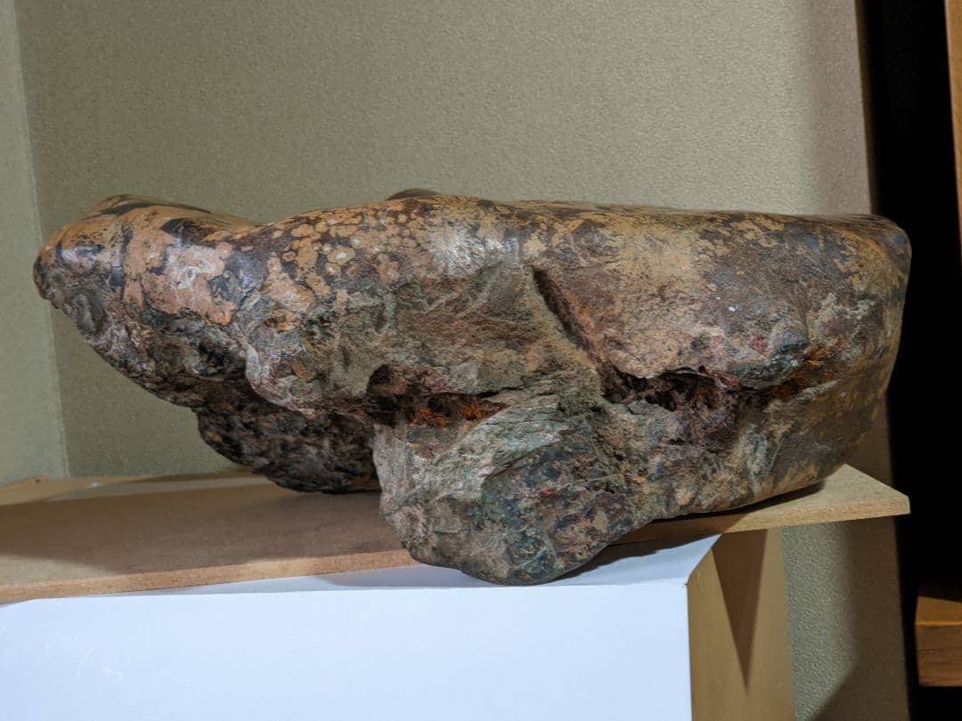 ♦昭和レトロ レア物 岐阜県 根尾谷産 菊花石 鑑賞石 天然記念物 骨董品年代物