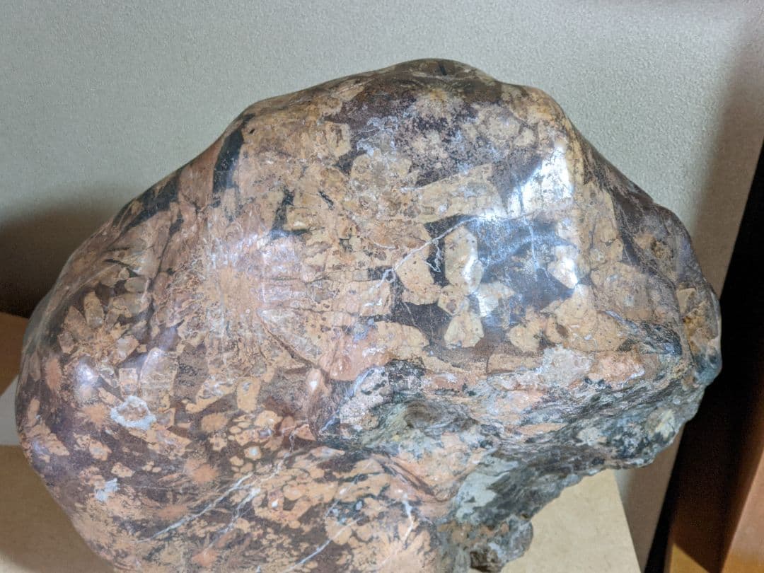 ♦昭和レトロ レア物 岐阜県 根尾谷産 菊花石 鑑賞石 天然記念物 骨董品年代物