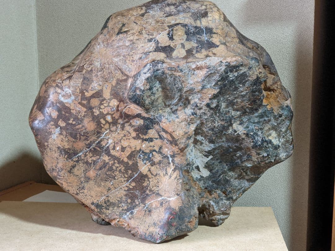 ♦昭和レトロ レア物 岐阜県 根尾谷産 菊花石 鑑賞石 天然記念物 骨董品年代物