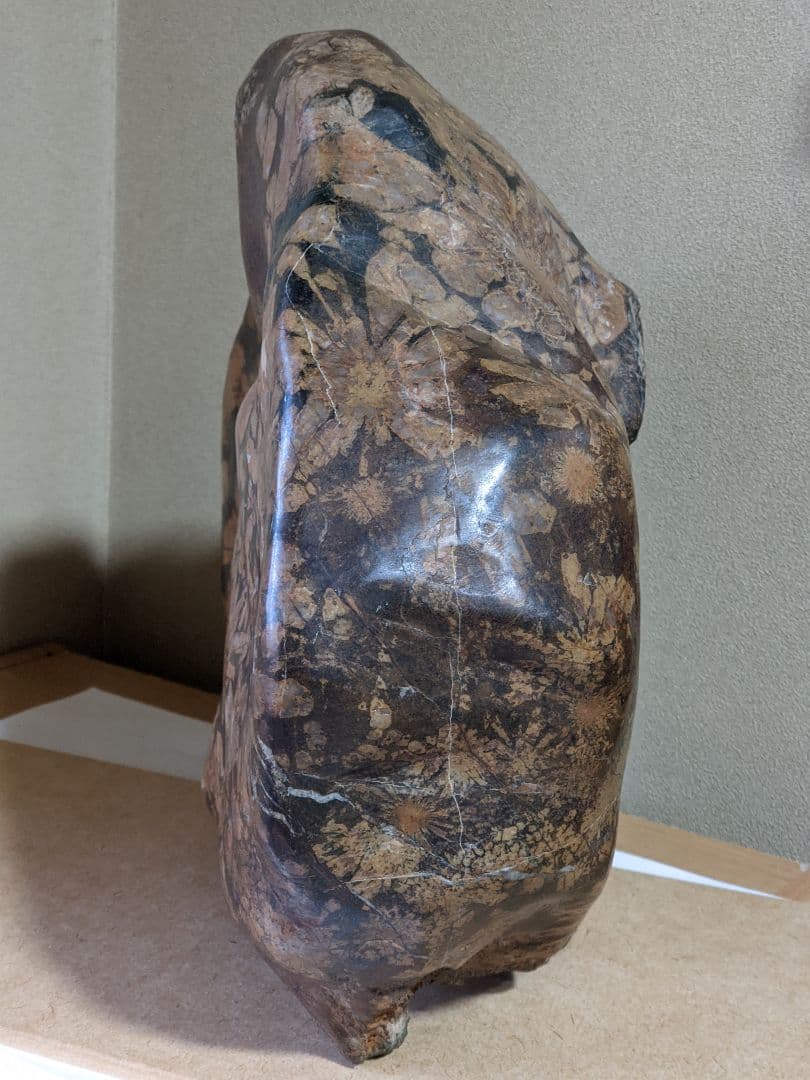 ♦昭和レトロ レア物 岐阜県 根尾谷産 菊花石 鑑賞石 天然記念物 骨董品年代物