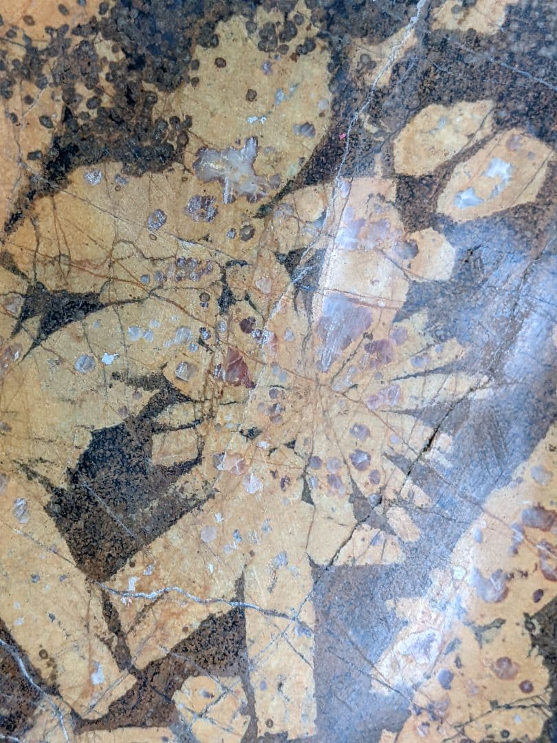 ♦昭和レトロ レア物 岐阜県 根尾谷産 菊花石 鑑賞石 天然記念物 骨董品年代物