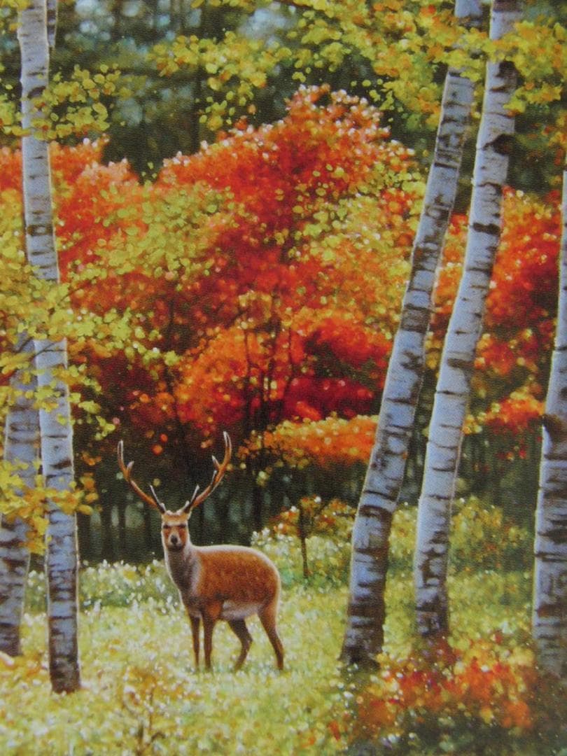 山地司、【鹿の住む森-7】、希少な額装用画集より、状態良好、新品額装付